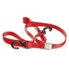 Trackside Red Buckle Tie Down -ABUS shop 550 2174 A V3